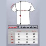 تیشرت مردانه نخ پنبه گرم بالا درجه یک طرح دنیا همه هیچ - کد 03